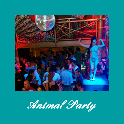 Animal Party